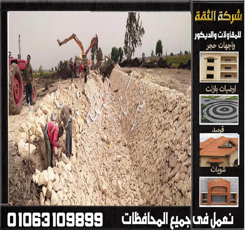 دبش تكاسى مواصفات واسعار